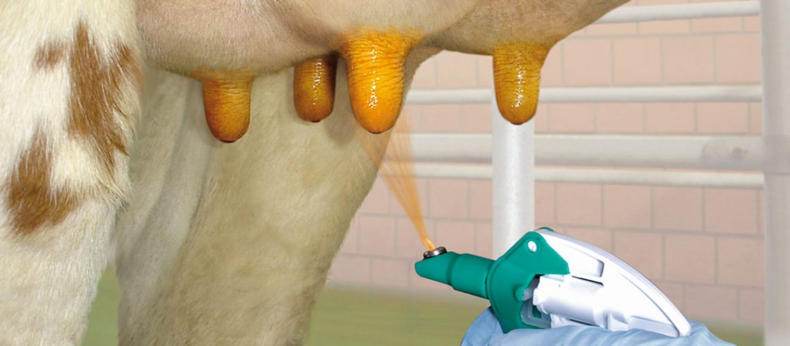 DairyFarming_Iodine based dip products_1200x675px.jpg